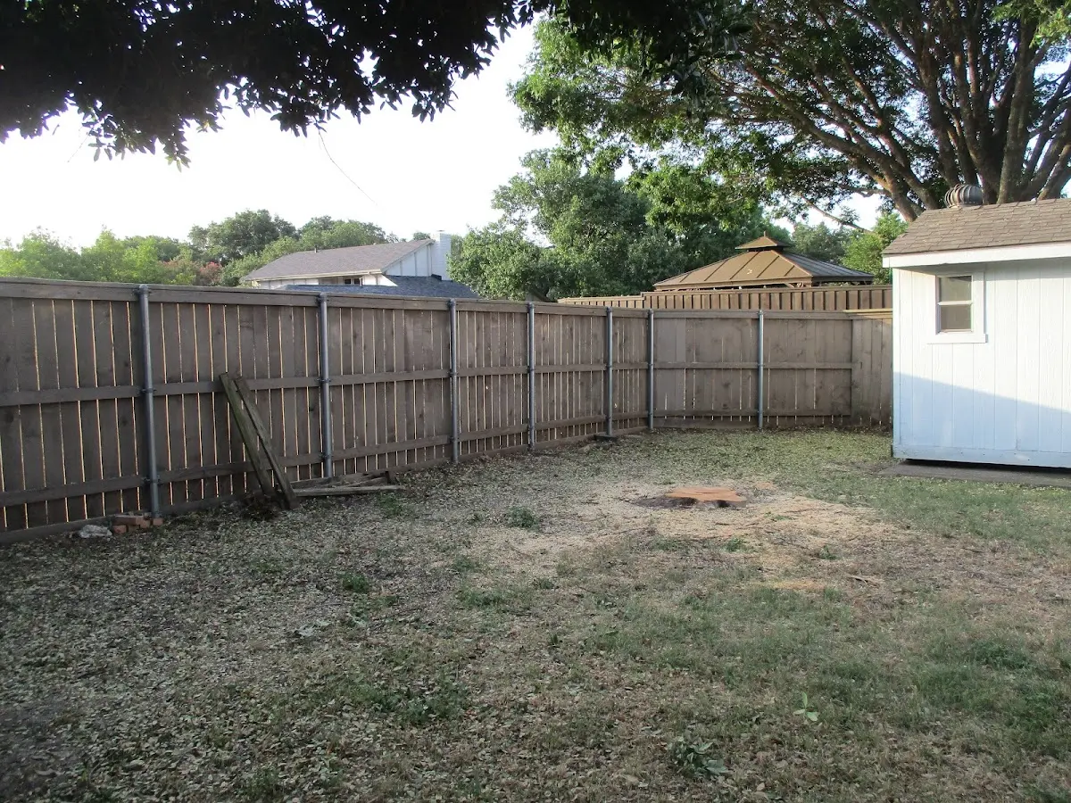 Cleared yard after professional tree removal in Largo